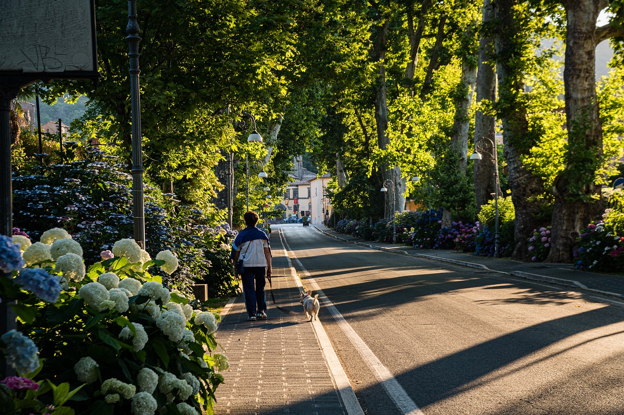 岡山市　集客　現状　課題点